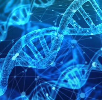 Test ADN genealogique